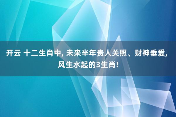 开云 十二生肖中, 未来半年贵人关照、财神垂爱, 风生水起的3生肖!