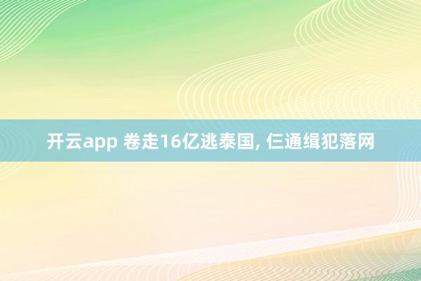 开云app 卷走16亿逃泰国, 仨通缉犯落网