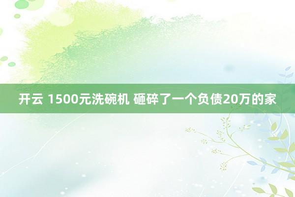 开云 1500元洗碗机 砸碎了一个负债20万的家