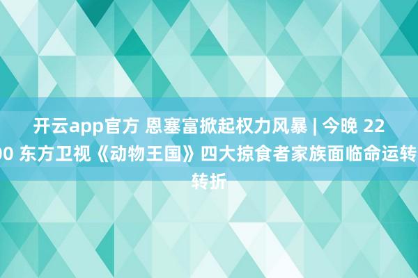 开云app官方 恩塞富掀起权力风暴 | 今晚 22:00 东方卫视《动物王国》四大掠食者家族面临命运转折