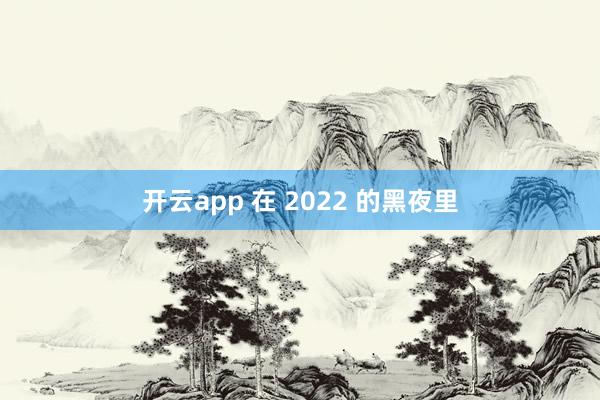 开云app 在 2022 的黑夜里