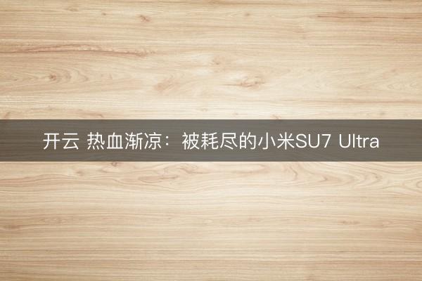 开云 热血渐凉：被耗尽的小米SU7 Ultra