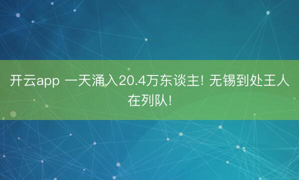 开云app 一天涌入20.4万东谈主! 无锡到处王人在列队!
